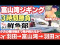 女船長炸裂!!初心者夫婦が、羽田〜富山往復3時間で何が釣れるか?ドラマチックチャレンジ釣行