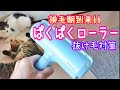 【猫の毛そうじ】ぱくぱくローラーの掃除力が凄すぎる！！抜け毛対策の強い味方！コロコロ破産する前に必見です。