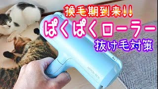 【猫の毛そうじ】ぱくぱくローラーの掃除力が凄すぎる！！抜け毛対策の強い味方！コロコロ破産する前に必見です。