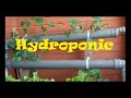 Hydroponics - Homemade Hydroponic NFT System