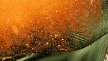 Melting Ice Cubes Upclose - 4k Macro Video