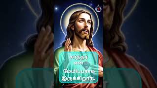 கர்த்தர் நல்ல மேயிப்பராக இருக்கிறார் #trending #shorts #viralvideo #jesus #bible #hope #song #honest