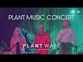 Plantwave at sxsw 2023 laraaji joe patitucci  arji oceananda plant music concert