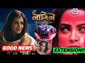 Exciting News on Naagin 7 | Postponed | New Finale Date