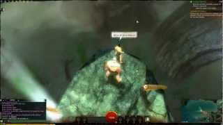 Guild Wars 2 Super High Olympic Diving