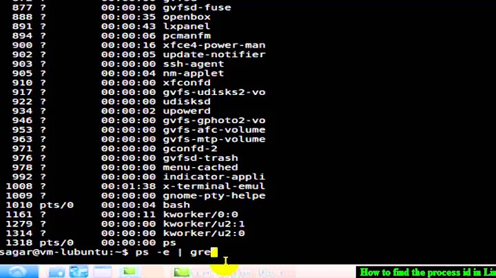 How to find the process id in Linux