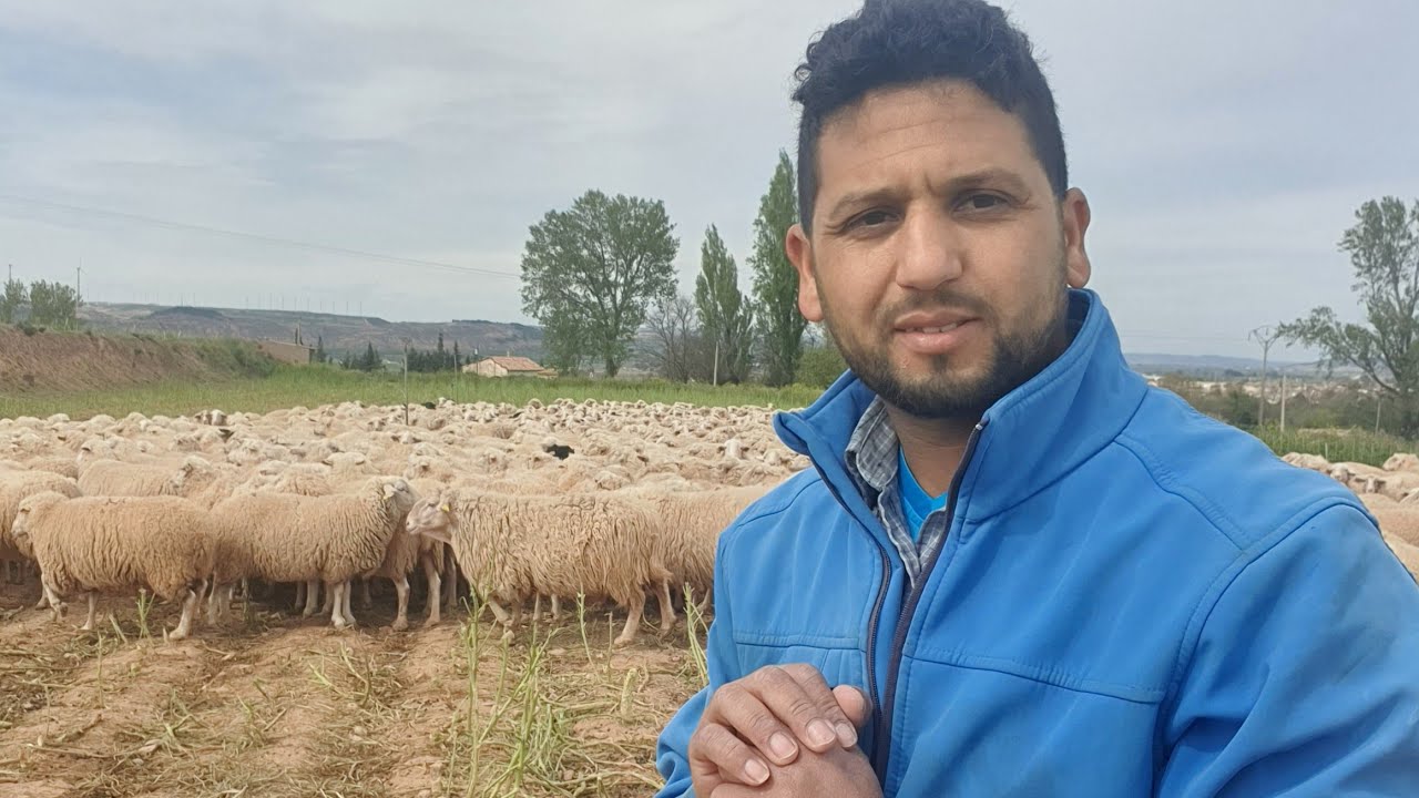 لبغى يدير مشروع في تربية الماشية باسبانيا يدخل يسمع لي اش غدي نحكي ليه