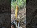 Unexpected Discovery During Excavation! 🪨😱