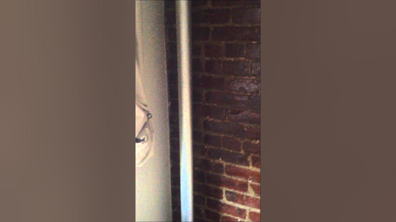 Banging, clanking steam heat radiator (& how to fix it!) YouTube