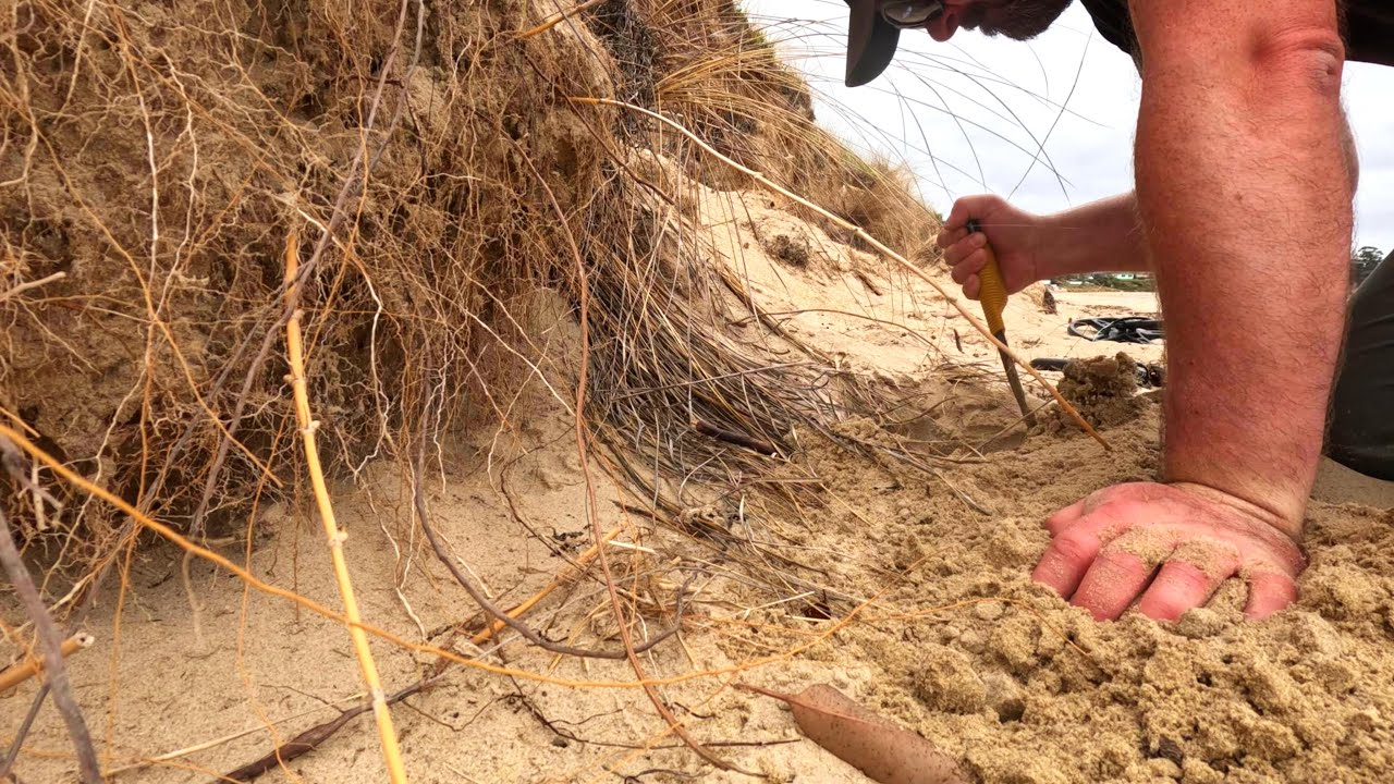 Metal detecting the rocks and beach before a storm hits - YouTube