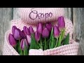 Интернет-магазин выгодных покупок