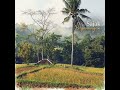 Sajak Pagunungan: Bikin Hati Tenang & Adem Banget! 🌾✨