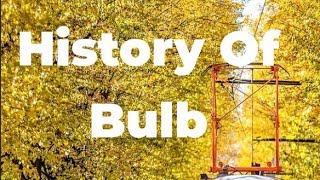 "Uncovering the Mysterious Origins of the Bulb: A Fascinating Journey Through History"