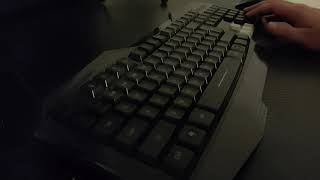 The Asking Type - Survey Call Role-play - Typing - Mouse Clicking - Soft Spoken