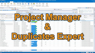 Learn about Project Manager & Duplicates Expert in CATALYST