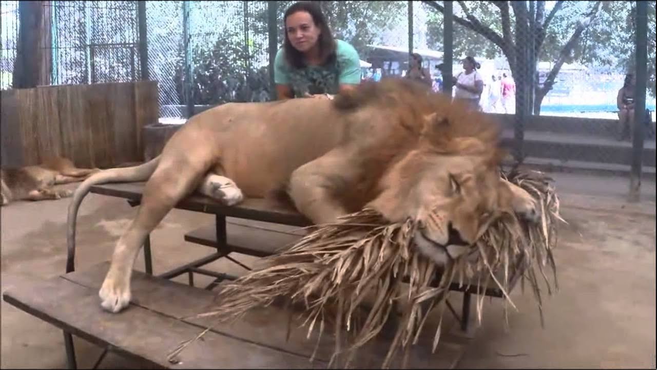 ZOOLÓGICO DE LUJAN - Argentina
