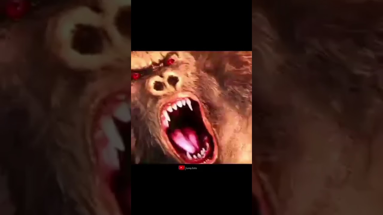 monkey King vs Buddha