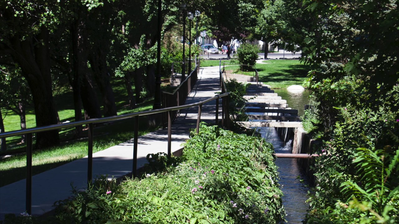 Dick Post on the start of the Univeristy Arboretum