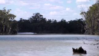 Hellrazor 2013 Robinvale 80 Winner