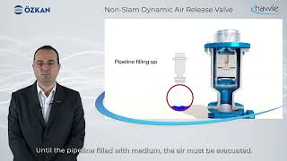 Dynamic Air Release Valves Working Principle
