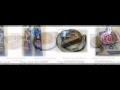 Online pet store in Delhi   MoOOou com