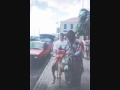 02 Noyes - News Scatters
