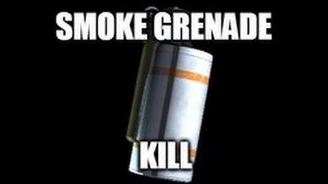 CS:GO Insane Smoke Kill