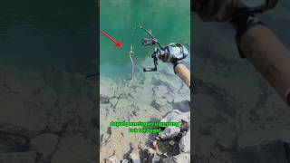 Walau sempat dapat Ular, Tangkapannya tetap melimpah⁉️ #trending #fishing #ikan #mancing