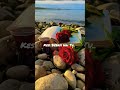 Meri Zindagi Hai Tu| 😽💖Lyrics | Aesthetic | Whatsapp Status | Edit #fyp​ #ytshorts​ #shortfeed