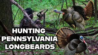 Insane Turkey Gobbling in Pennsylvania! Epic Spring Hunt 2025 Profile