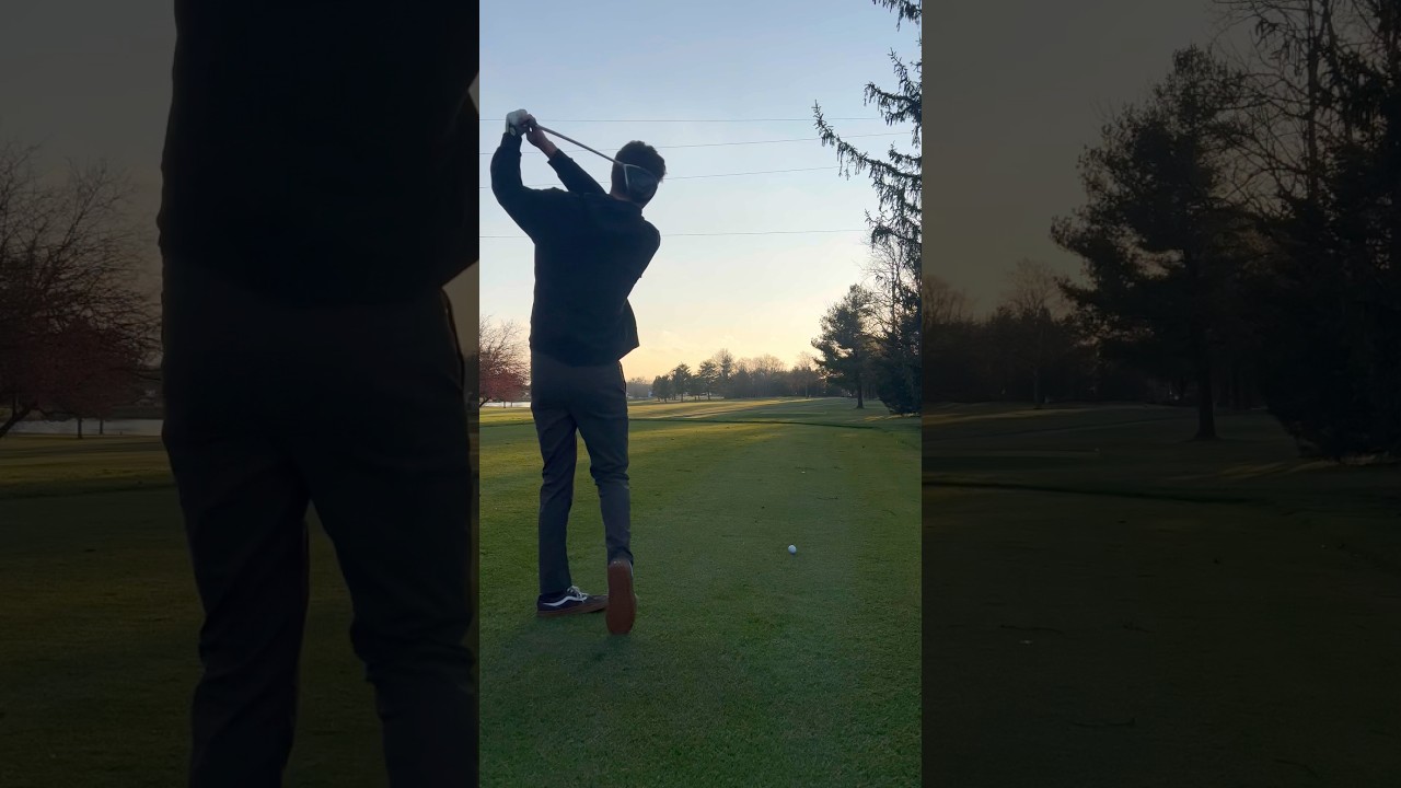 Beautiful day for birdies… 