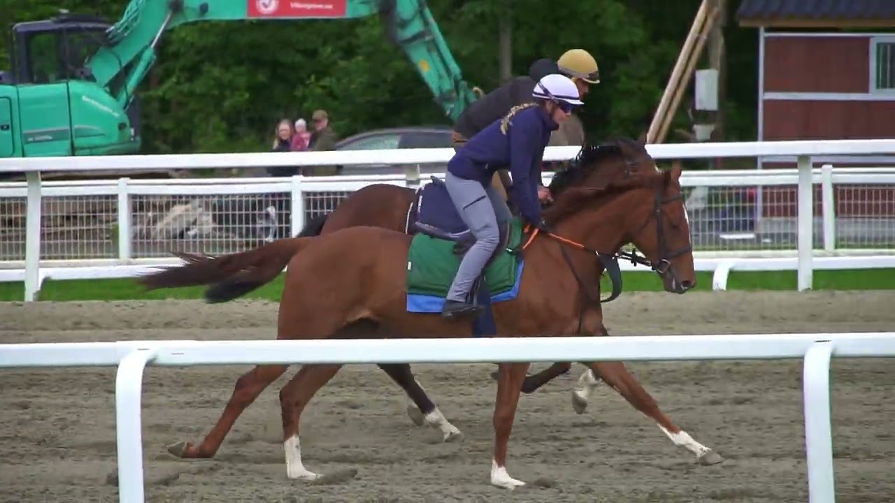 Øvrevoll Galopp treningsdag  28.05.2022