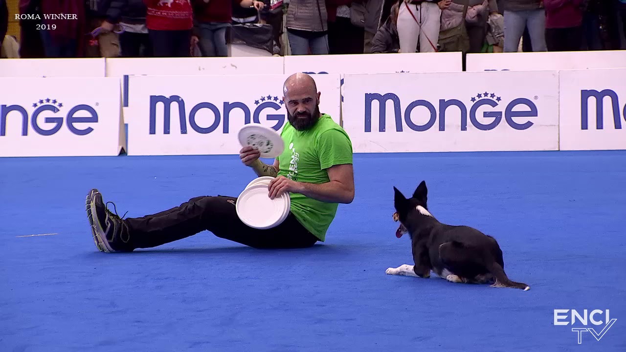 ROMA2019 - SAB23 - Disc Dog