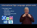 International Sign Language: Small and global scale multilingualism