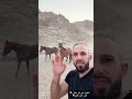 الغيييييرة ماشاء الله Shortsvideo 