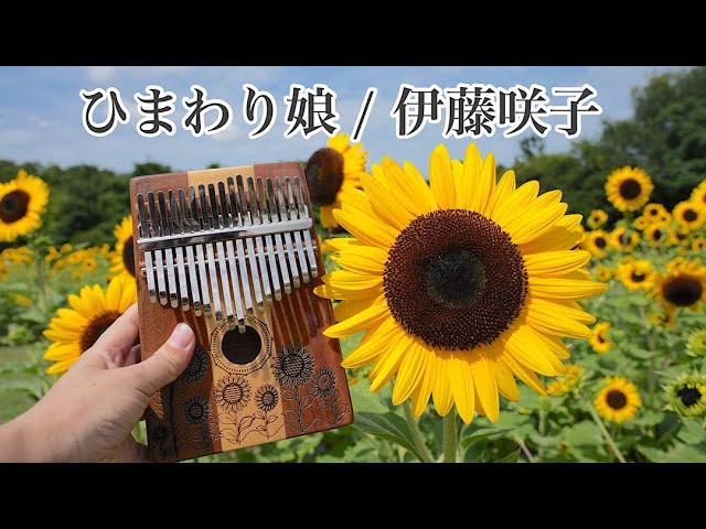 hluru ひまわり　サンフラワー　カリンバ hluru ひまわり サンフラワー カリンバ hluru ひまわりサン
