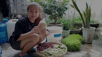 CÁCH NGÂM ENZYM BỒ HÒN CỰC THƠM và AN TOÀN TẠI NHÀ