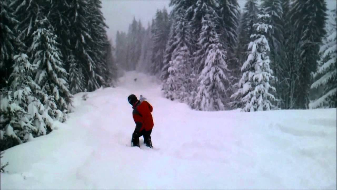 Saalbach January 2012 - powder snow