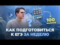 Как подготовиться к ЕГЭ по русскому языку за 7 дней