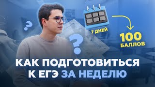 Как подготовиться к ЕГЭ по русскому языку за 7 дней