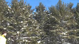 Lacsimon En Hiver  Spaq