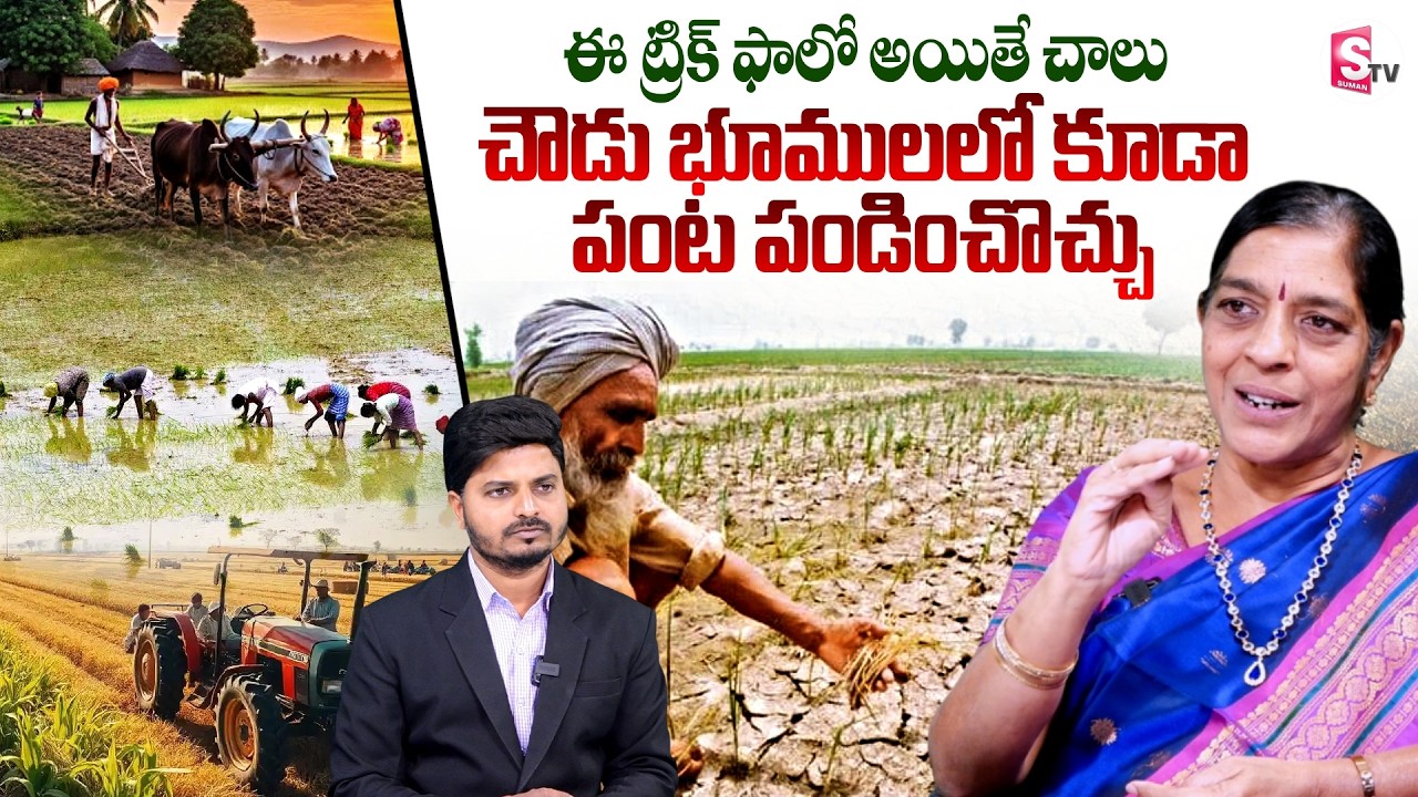 చౌడు భూములలో కూడా పంట పండించొచ్చు | Convert Fallow Lands To Cultivation | Dr.G. Padmaja |SumanTV Sai