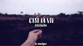 PLVTINUM - C'est La Vie