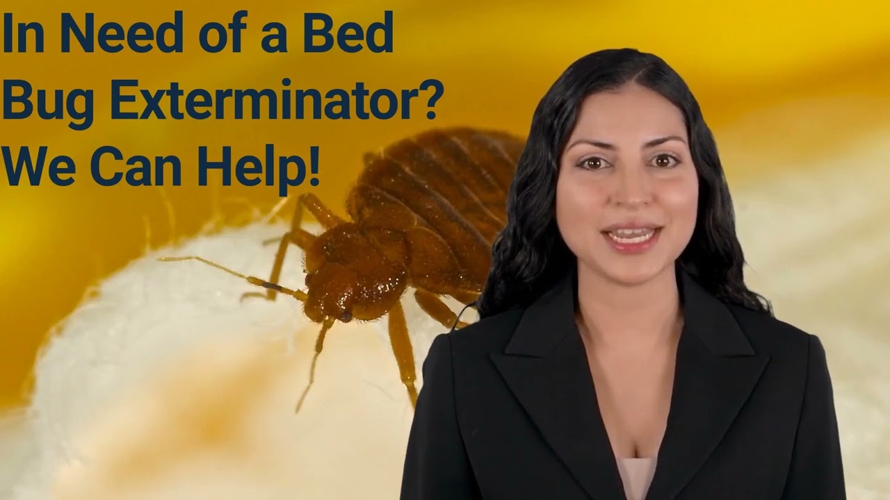 How to get rid of Bed Bugs Naturally