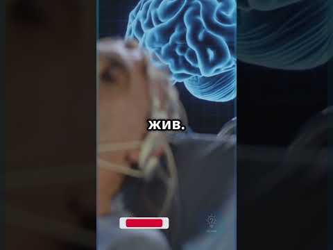 Людей до сих пор хоронят живыми. Вот как… #Факт #Шок #Shorts #shortvideo #shortsfeed #shortsviral