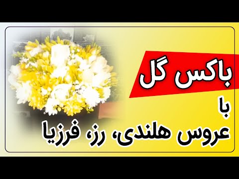 تصویری: تری هیبیسکوس (52 عکس): قرمز و نارنجی ، صورتی و زرد گلهای داخلی ، مراقبت از یک رز دوگانه چینی