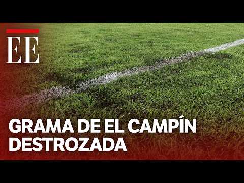 El Campín pitch in poor condition: Galán calls for investigation into Sencia | El Espectador