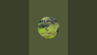 ዜዶ ቱብ Zedo Tube is live