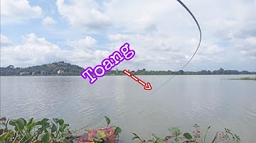 Câu Cá Ổ | Câu Đài | Câu Cá Chép , Rô Phi , Cá Mè Siêu Nhiều Và Gặp Chép Khủng | Nghiện Câu TV | T18