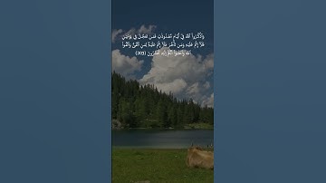 سوره البقره الايات 203